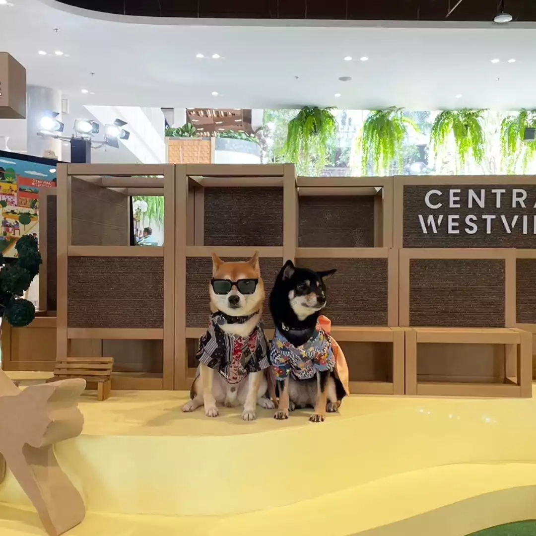 พาทัวร์ Central Westville แลนด์มาร์กใหม่ย่านราชพฤกษ์ที่ตอบโจทย์ Pet